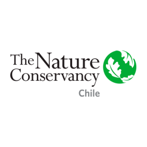 Logo ONG TNC